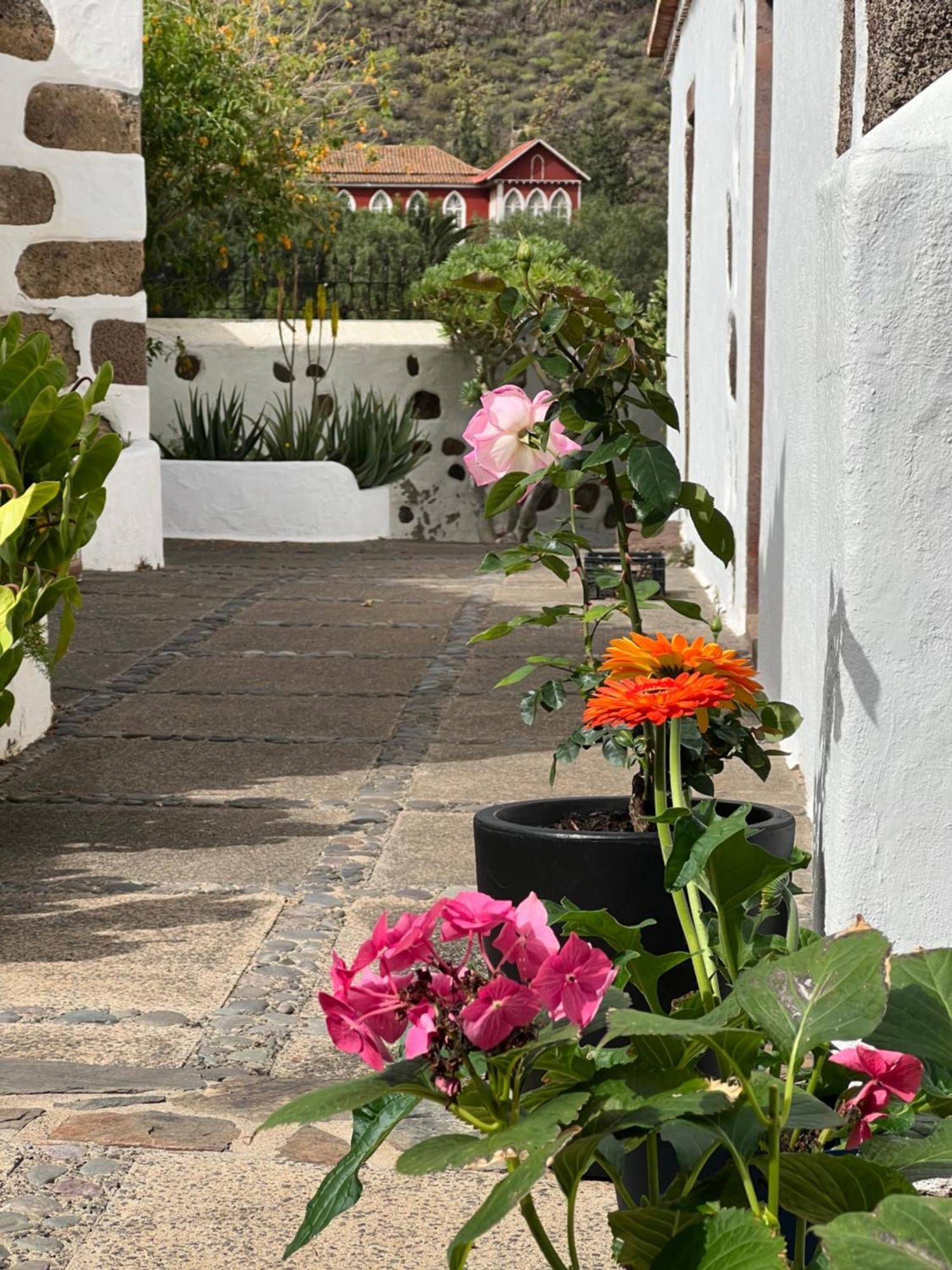 Finca Exclusiv La Mareta Agaete  Exterior photo